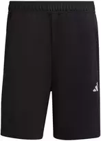 Adidas Train Essentials All Set treniruočių šortai vyrams IB8161