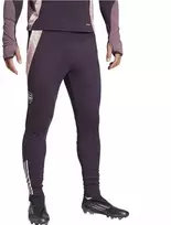 Adidas Arsenal London Training Pantalonai M JF2916