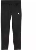 Puma Team Goal treniruočių kelnės M 658639 03