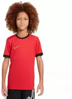 Nike Dri-Fit Academy 25 Moksliškai T-Shirt FZ9758 657