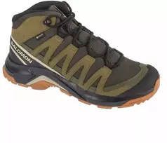 Salomon X-Adventure Recon Mid GTX L47814600 Žalias 41 1/3
