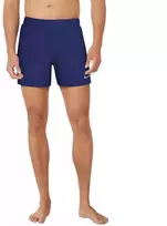 Nike Essential 5 M NESSF560 440 maudymosi šortai