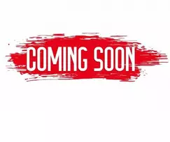 Karl Kani moteriškas batas 89UP Logo Prm PD00002700