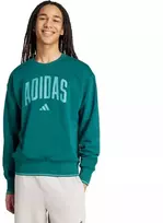 Vyrų adidas Koleginis džemperis Žalias JM1733