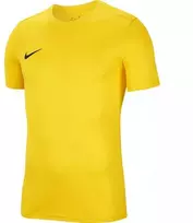 Nike Dri-Fit Park VIII Vyriški Marškinėliai Geltonos HV8173 719
