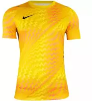 Nike Dri-Fit Gardien VI Vyriški Vartininko Marškinėliai Geltoni HV8301 718