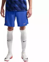 Vyrų treniruočių šortai Nike France Dri-Fit Adv Elite, mėlyni, IB4603 480