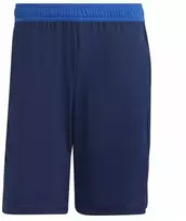 Vyriški adidas Tiro 23 Competition treniruočių šortai, tamsiai mėlyni HL3924
