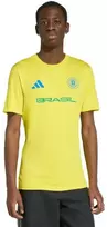 Vyriški „adidas“ Brazilijos rinktinės 26 marškinėliai, geltoni, KH2307