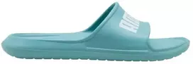 Puma Divecat v2 šlepetės per pirštą, mėlynos, 374823 35
