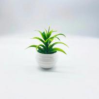 Dirbtinis sukulentas mažas bonsai, dirbtiniai gladijolai, rudeniniai rėžiai, dirbtinės gėlės ir smulkios dirbtinių gėlių dekoracijos Gladioli potted plant