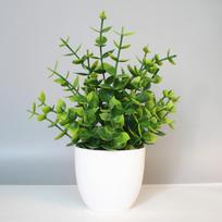 Didmeninė prekyba dirbtiniais augalais, vazoniniais augalais, netikrais žaliais augalais, vidaus ir lauko dekoracijomis, plastikinis bonsai, namų dekoracijos