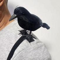 Black Feather Lifelike Crow Realistic Cosplay Costume Halloween Simulation Crow  Cosplay Costume 07 16cm