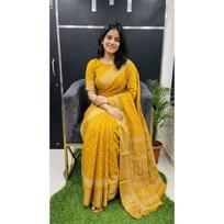 NEW LAUNCH – Designer Freehand Dola Doby Silk Saree Collection