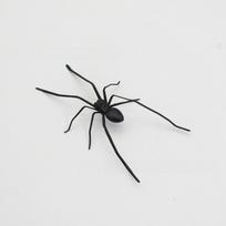 Plastic Spider Decor For Holiday Celebrations And Festive Events Black