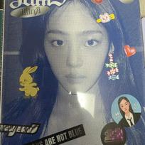 NEW JEANS Minsey Blue Book Album (Unpublished)