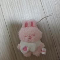 STRAY KIDS Skige Secret Flash Micro Ribbit Strawberry ver.