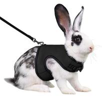 Stylish Pet Harness Mutil-Colors Pet Chest Strap Rabbit Harness and Leash Set  Hamsters XL juoda