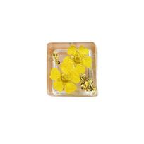 Translucent Dried Flower Keycaps Gypsophila Resin Keycap Mechanical Keyboard Keycap  Cross Axis geltona