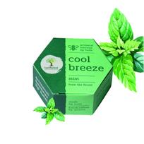 Last Forest Beeswax Lip Balm for Men & Women 5g, Non-sticky, 24 Hrs Lip Moisturizer For Dry And Chapped Lips, Nourish & Protect (Mint)