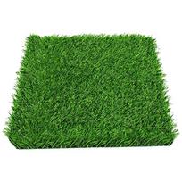 Easyly Clean Chicken Coops Mats Antislip Texture Durability Chicken Coops Pad for Nest Boxes
