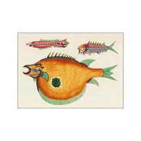 Pop Colorful Animals Žuvies plakatas Estetinis žuvų rūšių iliustracija Eskizas Drobės spaudinys Sienų menui Namų dekoravimas Kambario dekoras 21x30cm No Frame