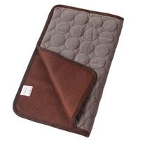 Ice Silk Pet Cooling Mat Car Cat Sleeping Pad Comfortable Puppy Blanket  Kids and Adults XS (40X30cm)