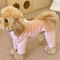 Casual Style Warm Elastic Pet Jumpsuit Windproof Soft Dog Fleece Pajamas Comfortable Breathable Dog Base Shirt Indoor Outfit XL mėlyna