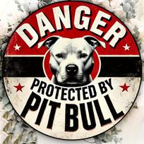 Tin Sign  Danger Protected By Pitbull Dog Warning Metal Plaque Wall Decor Vintage Pet Lover Home Office Bar Man Cave Wall Art 20x20cm(8x8inch)