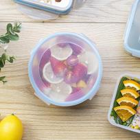 Anmai Aige Food Grade Plastic Fresh-Keeping Box 650ml Refrigerator Fresh Box Microwave Lunch Box Sealed Food Container AM2509