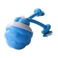 Smart Automatic Rolling Dog Ball Electric Interactive Squeaky Dog Toy Durable Chew Moving Pet Ball with Rope (Blue,Set) mėlyna