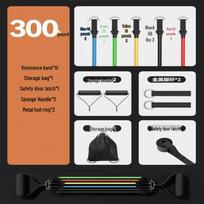 Ronglv Multifunctional Adjustable Resistance Band Set