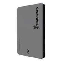 Great Wall GW560 Series SATA3.0 SSD 1TB