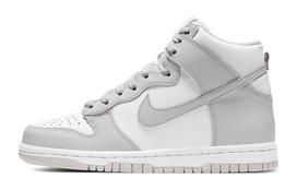Nike Dunk High Vast Grey GS DB2179-101 36