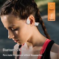 Sayrelances B30X Bone Conduction Swimming & Sports Headphones