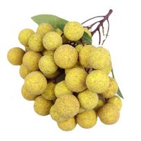 Realistic Artificial Fruit Handicrafts Foam Longan Model Food Model Simulation Longan  Photo Props 50 Heads