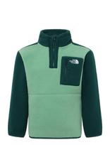 The North Face - Teen Yumiori 1/4 Zip Jacket - Flisinė striukė - Žalia