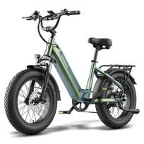 FAFREES F20 Rover elektrinis dviratis 250W