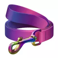 WAUDOG gradientinis nailonas šunų pavadėlis, 20 mm pločio, 122 cm ilgio, universalių spalvų violetinė