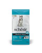 SCHESIR Original Medium Adult Žuvys 2x12 kg sausa maistas suaugusiems vidutinio dydžio veislių šunims