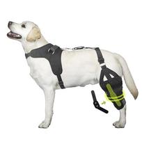 Dog Dual Knee Brace for Torn ACL Hind Legs Anti-slip Dog Double Leg Braces for Back Legs with Comfort Harness (Black,M) juoda