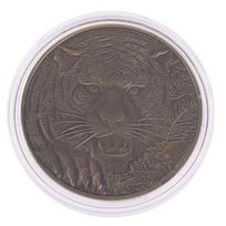 1 vnt. drakono tigro bronzinė moneta, padengta bronza, 40 mm kolekcinės monetos