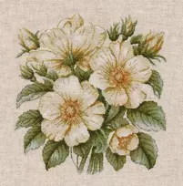 Oven Kryželiu siuvinėjimo rinkinys „Laukiniai erškėtuogiai“ 23×23 cm