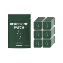 Berberine Patch, Topical Adhesive Patches for External Use, Disposable Skin Stickers