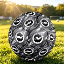 Brighton & Hove Albion FootballPrinted Size 5 Soccer Blbion Football, Anti Slip Adult Match Football Souvenir for Football Fans Size 5