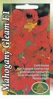 Didžiosios Nasturtės Mahogany Gleam F1