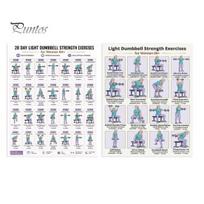 Dumbbell Exercise Poster 2 Pcs 28 Days Light Strength for Women 60+, Home Workout Guide Gym Fitness Training Guide, Full Body Chart Wall Art Low Load 2pcs