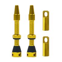 2pcs Aluminum Alloy Bicycle Presta Valve Stem Bike Vacuum Valve Stems for Mountain Bikes Road Bike 44mm auksas