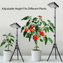 Grow Lights for Indoor Plants, Full Spectrum LED Plant Growing Lamp - Timer, Adjustable Brightness & Tripod Stand, LED Grow Lamp EU Plug