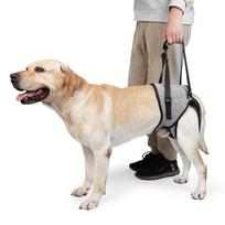Dog Rear Leg Support Harness, Pet Lift Sling for Senior & Disabled Dogs, Adjustable Rehabilitation Aid (Grey,S) pilka